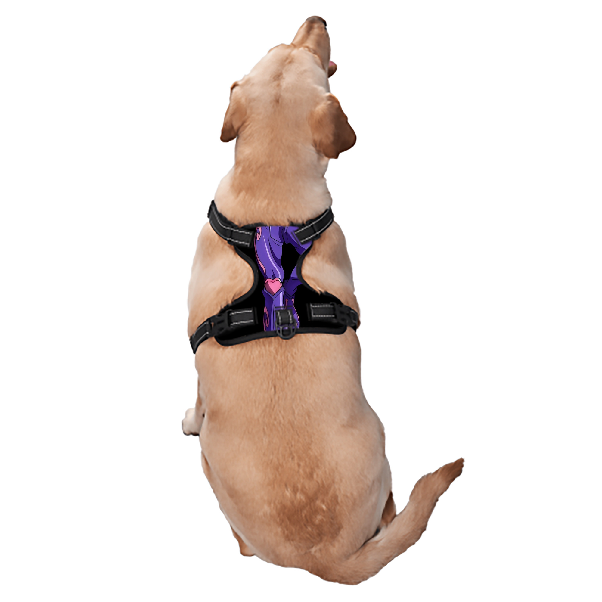 （画像用） ジョジョの奇妙な冒険 JoJo's Bizarre Adventure ペット用ハーネス